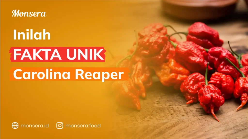 Inilah Fakta Menarik Tentang Carolina Reaper