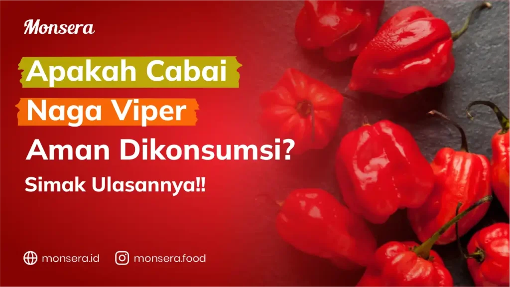 Apakah Cabai Naga Viper Aman Dikonsumsi? Simak Ulasannya!!