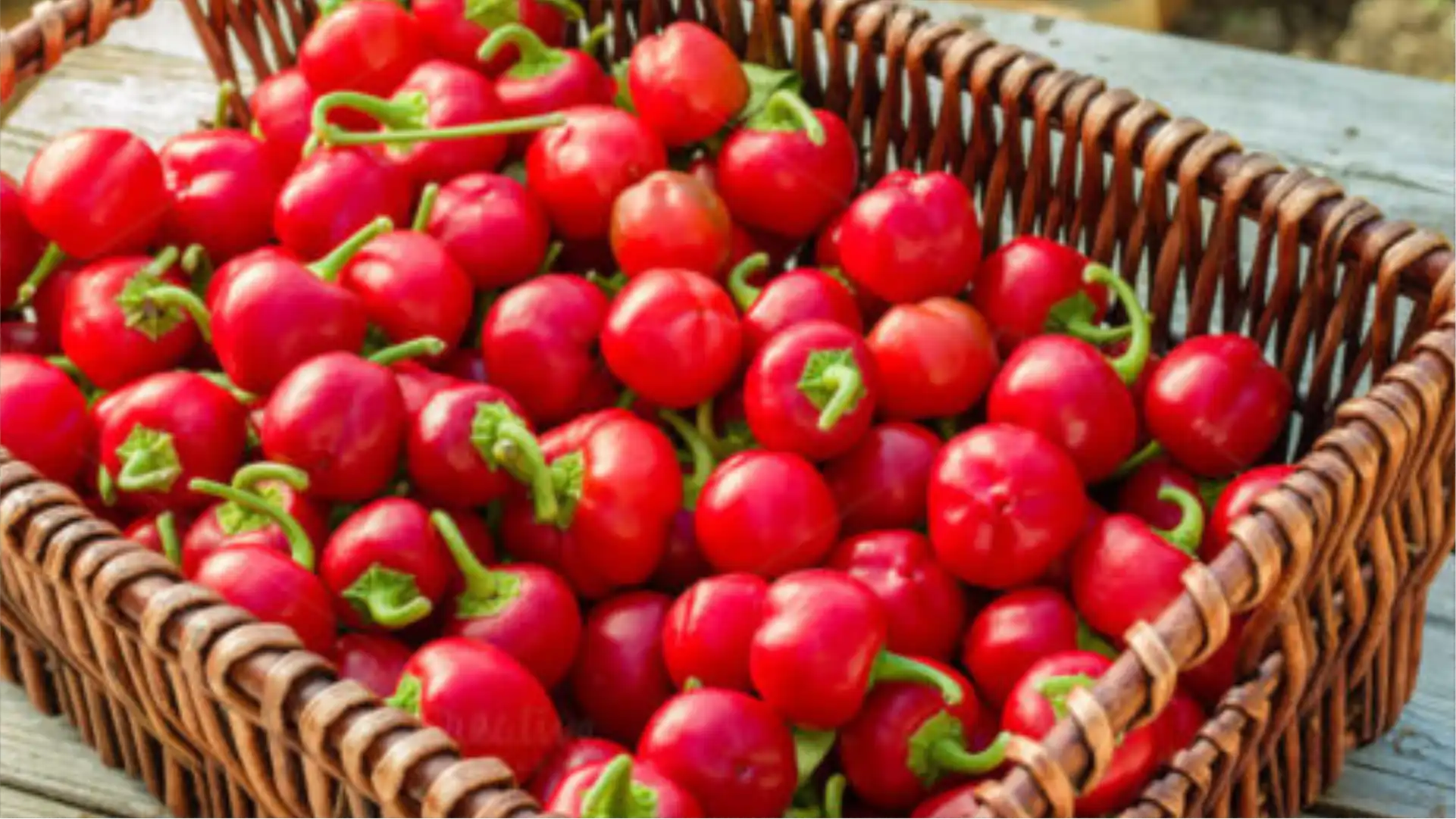 Seberapa Pedas Cherry Peppers Merah?