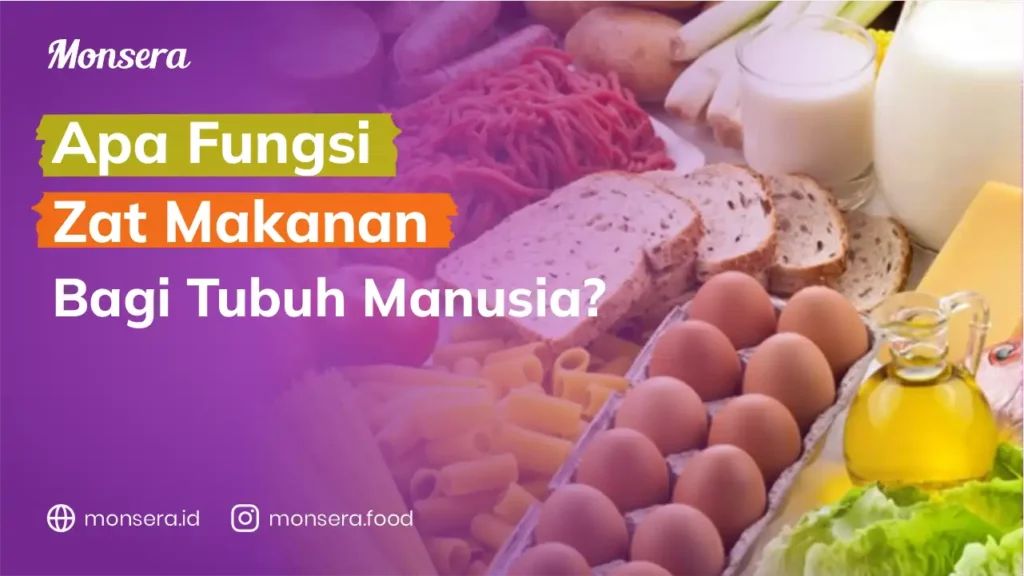 Apa Fungsi Zat Makanan Bagi Tubuh Manusia