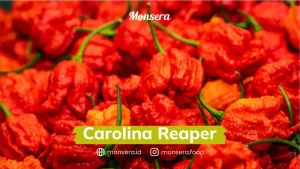 Carolina Reaper
