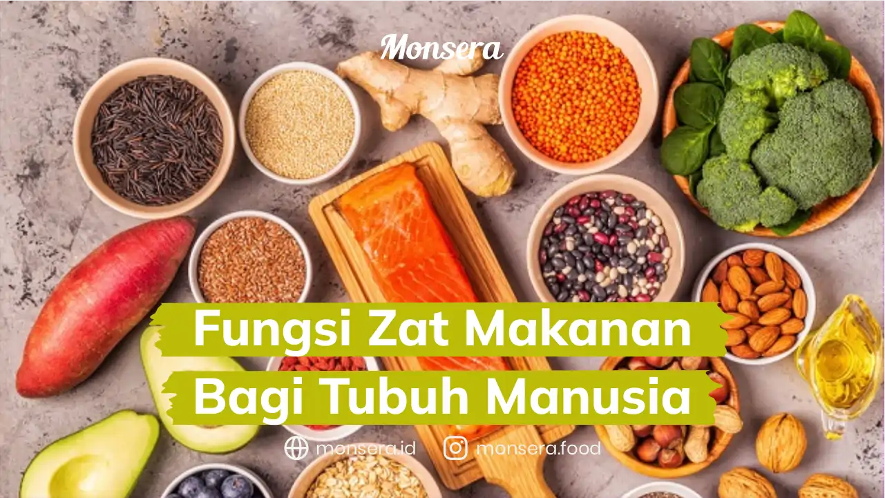 Fungsi Zat Makanan Bagi Tubuh Manusia
