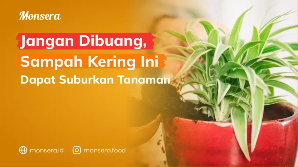 Jangan Dibuang, Sampah Kering Ini Dapat Suburkan Tanaman