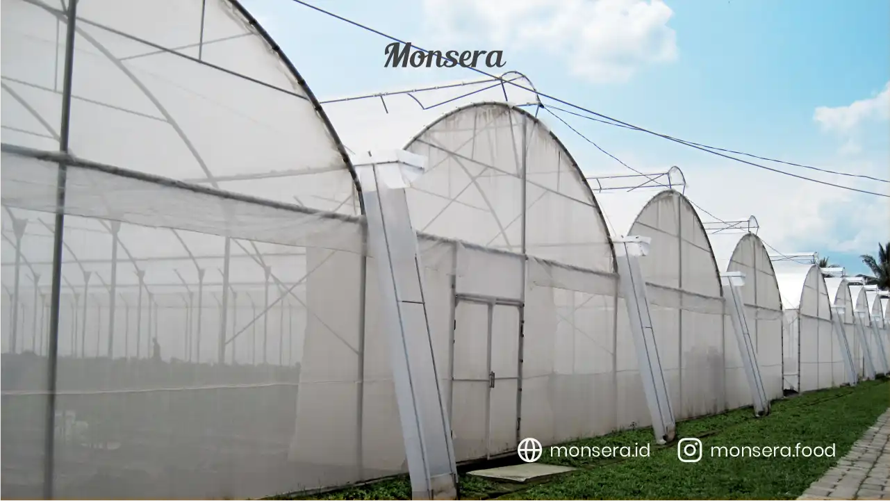 Keunggulan Sambal Instan Hasil Perkebunan Sendiri