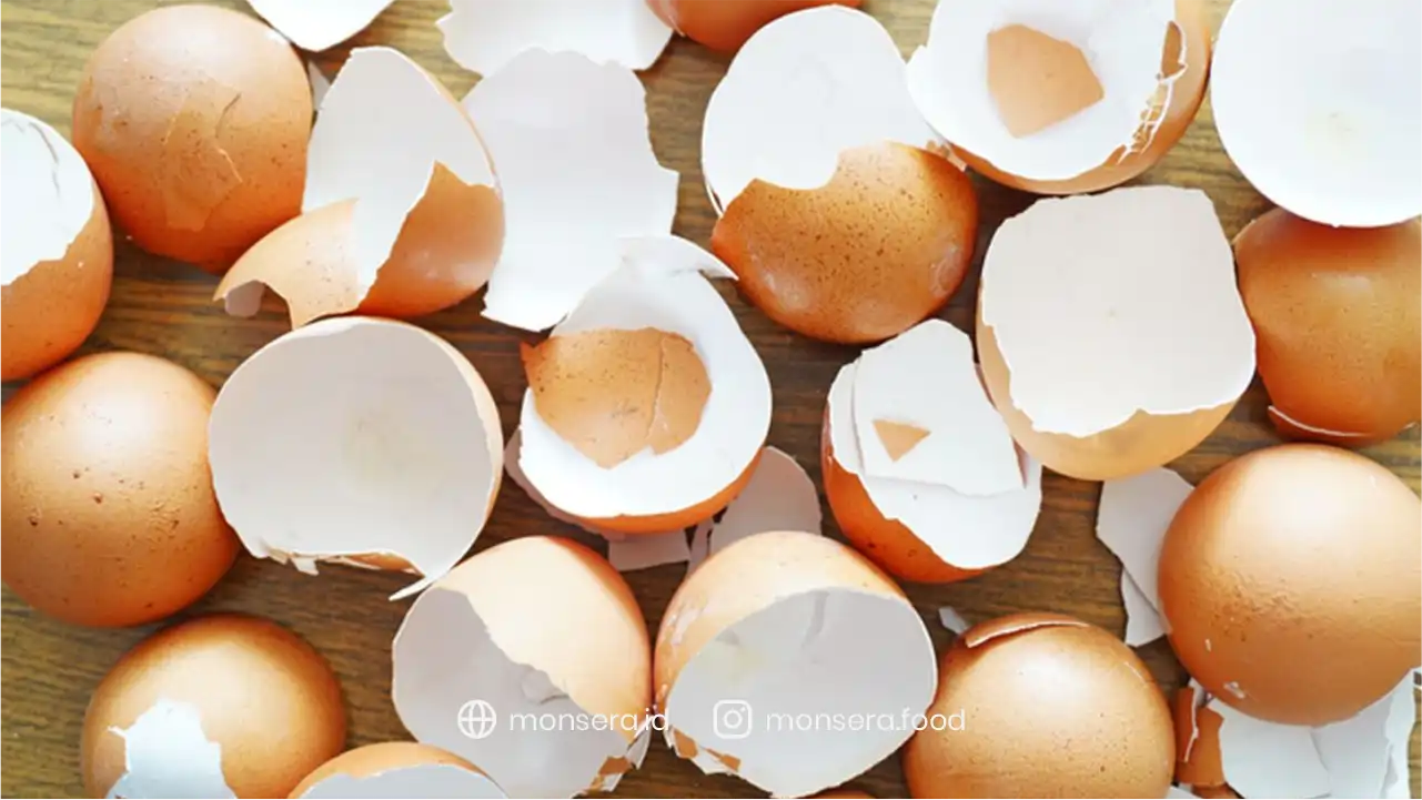 Sampah Kering Kulit Telur