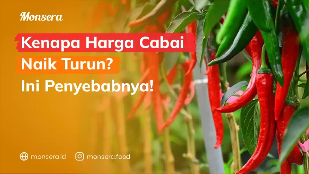 Kenapa Harga Cabai Naik Turun