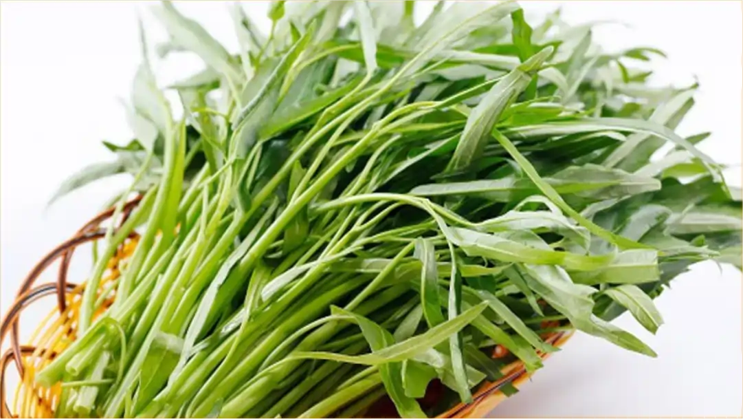 Manfaat Sayur Kangkung Bagi Kesehatan
