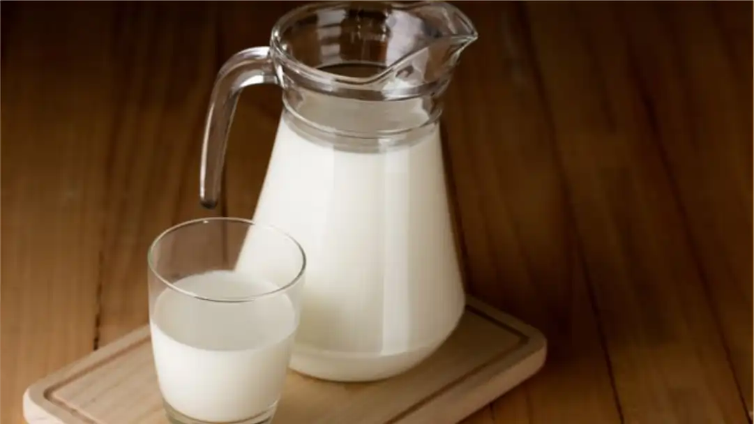 Minum Susu Hewani
