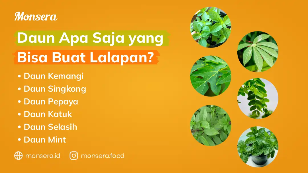Daun Apa Saja Yang Bisa Buat Lalapan