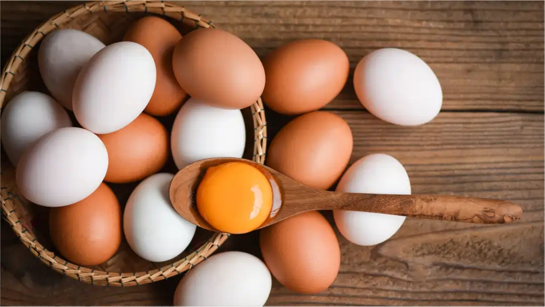 Kandungan Gizi Telur Ayam