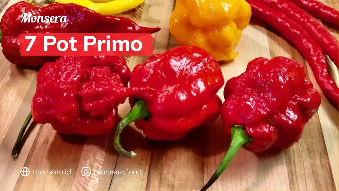 7 Pot Primo