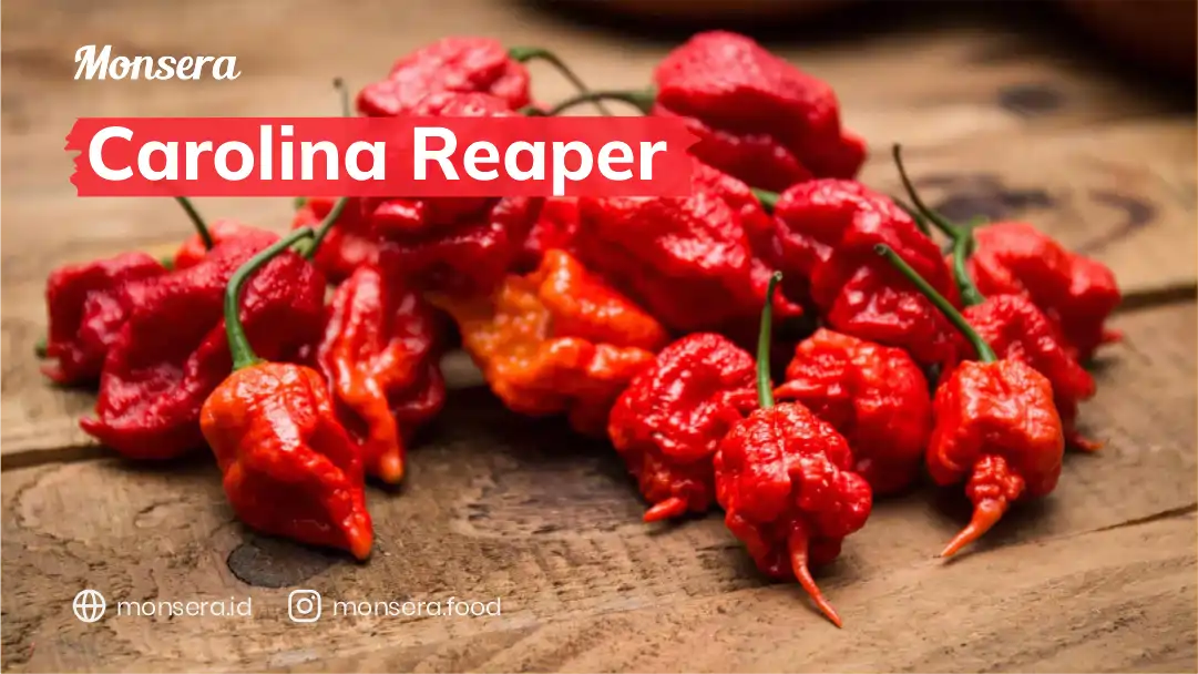 Cabai Carolina Reaper