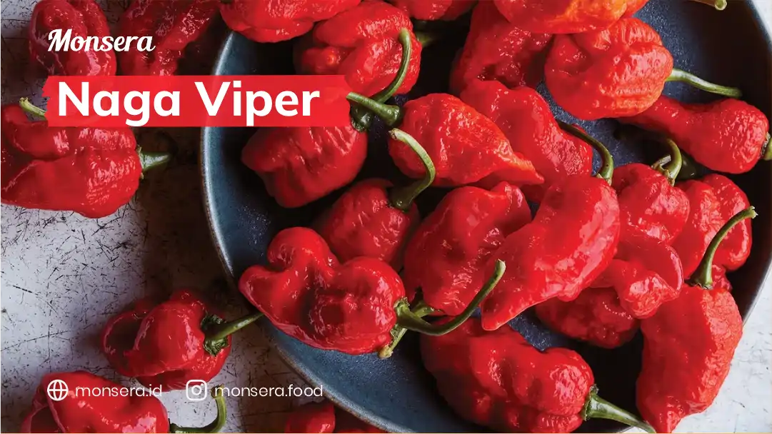 Naga Viper