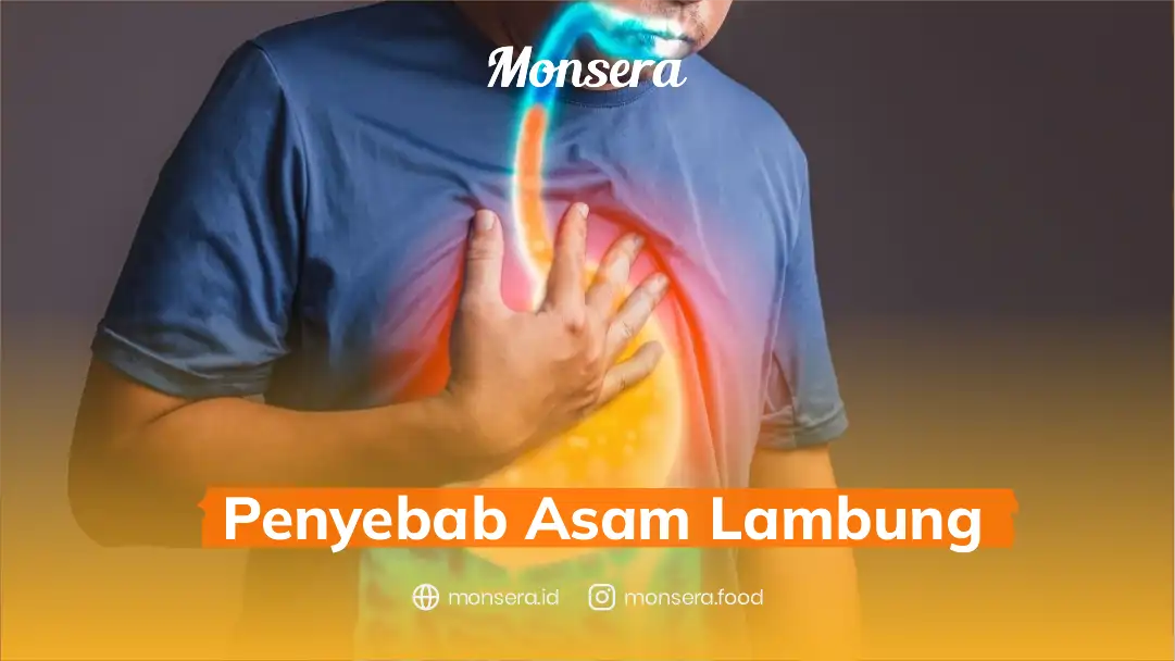 Penyebab Asam Lambung