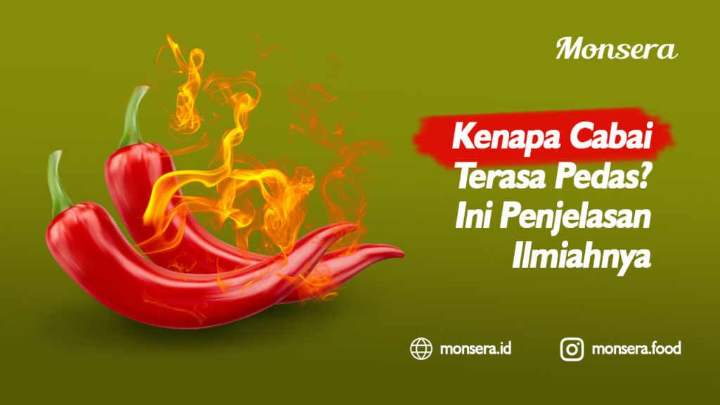 Kenapa Cabai Terasa Pedas Ini Penjelasan Ilmiahnya