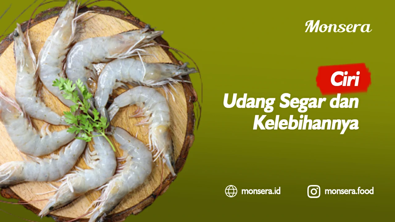 Ciri Udang Segar dan Kelebihannya
