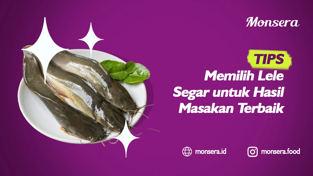 Tips Memilih Lele Segar untuk Hasil Masakan Terbaik