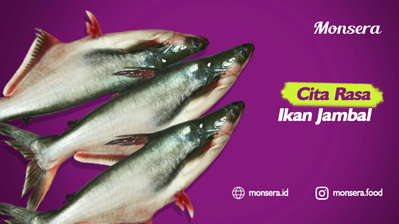 Cita Rasa Ikan Jambal