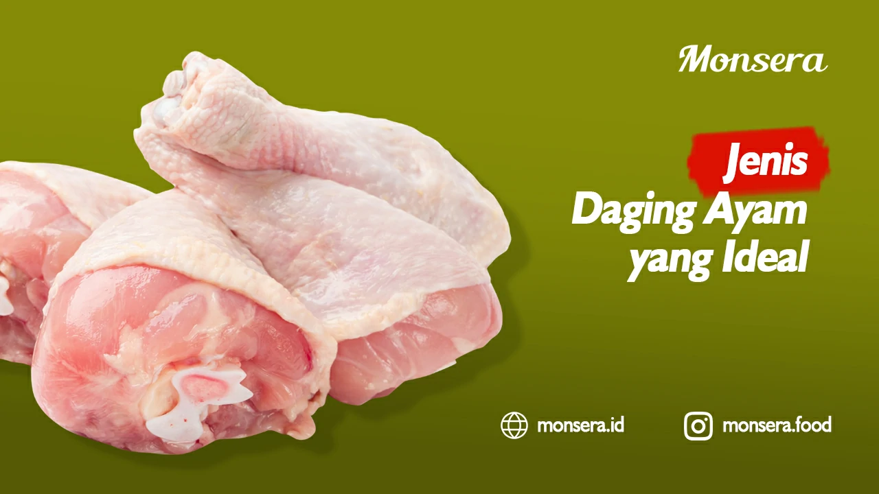 Jenis Daging Ayam yang Ideal