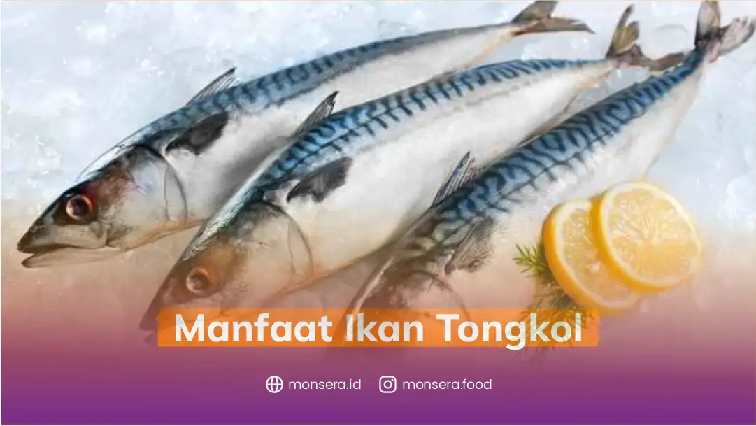 Manfaat Ikan Tongkol